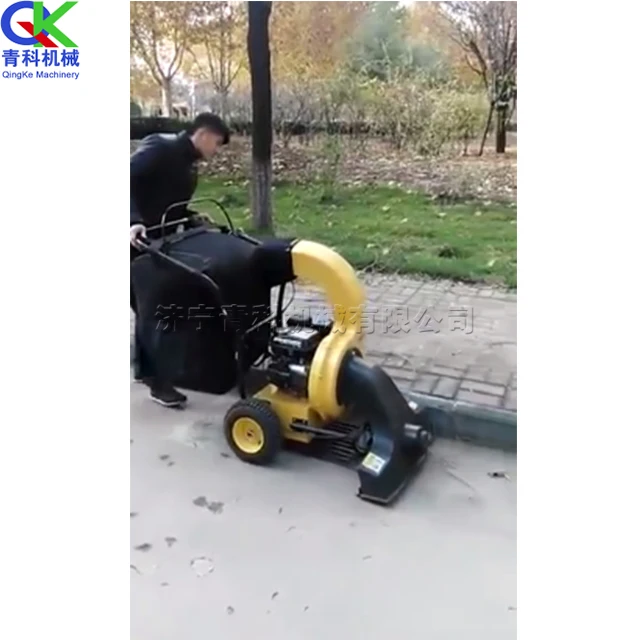 Hand Push Leaf Suction Machine Dry and Wet Leaf Broken Branch Garbage Cleaner Sweep Equipment