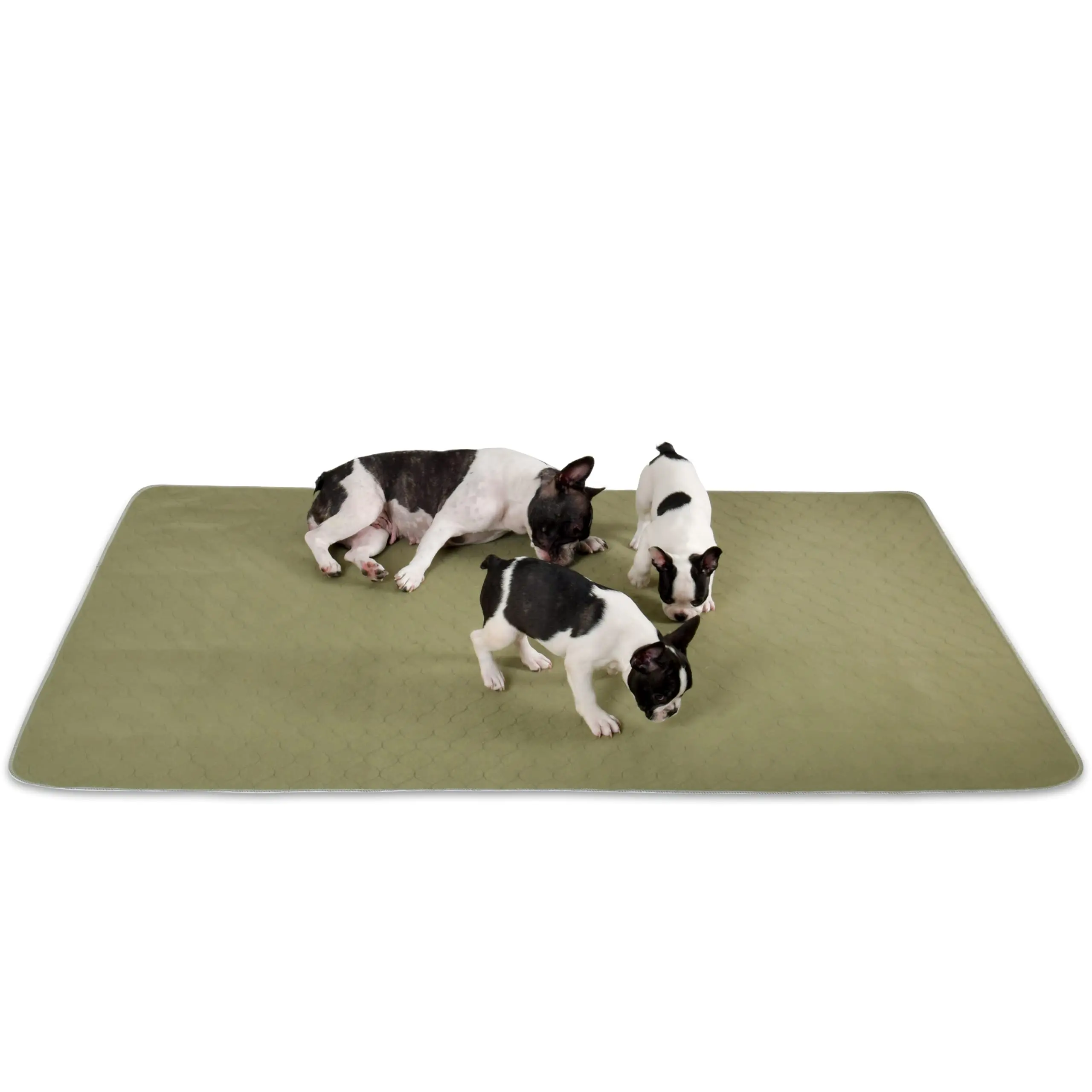 Reusable Absorbent Pet Pad