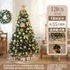 120cm Gold and White with Tree Skirt (without gift box)