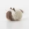 coloré Référencez le tutoriel du chat aux cheveux longs