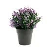 Lavanda