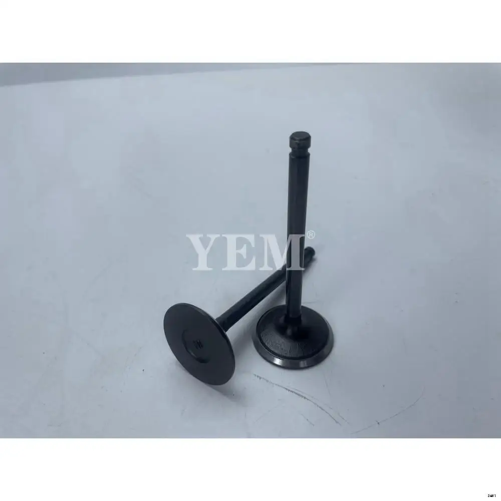 Engine Inlet Valve Fit for Nissan K25