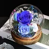 Blue and White Base