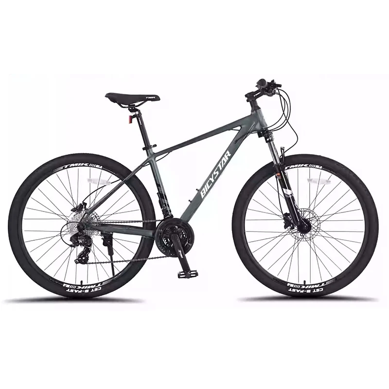 Aeroic Warrior 450 Aeroic Bike Company Aluminum Alloy 29