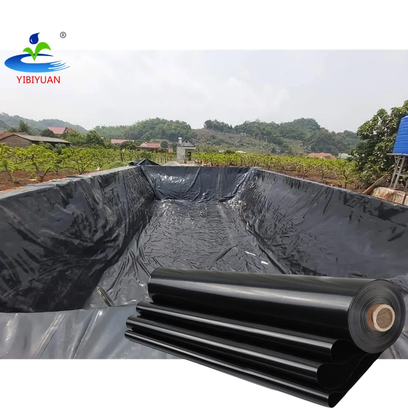 Farm Hdpe Geomembranes Sheet Pond Liner 45 Mil 2mm 1mm 1.5mm 0.75mm HDPE Geomembrane