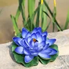 Blue-purple Eva lotus [Leaves approximately 18cm]