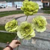 4 verde lilliano soleggiato