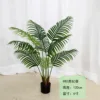 Palmera Areca 120/140/160/180/200