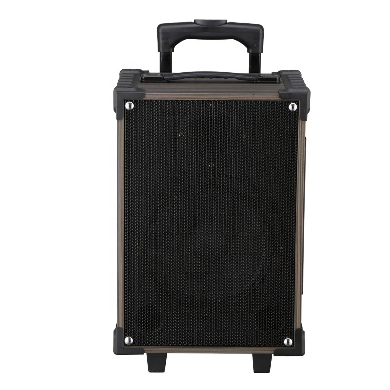 8 Inch Multi Function Big Wireless Speaker Outdoor Portable Wireless Trolley Speaker with Wireless Microphone and Remote