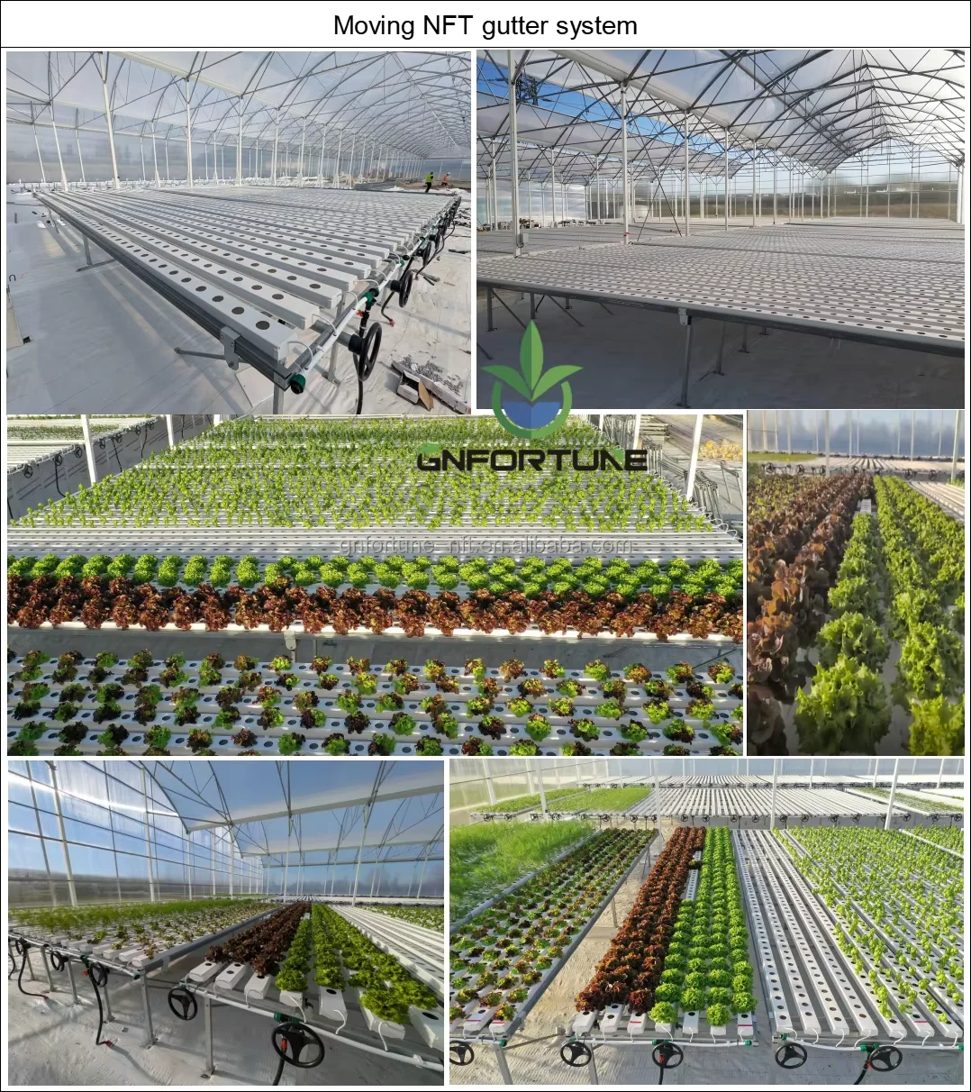 Hydroponic Planting