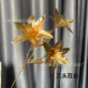 Lys à trois têtes