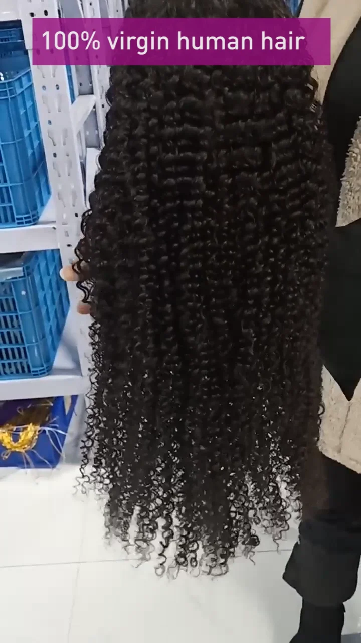 Double Drawn Afro Kinky Curly Vendors Wig Virgin Hair Human Hair Wig