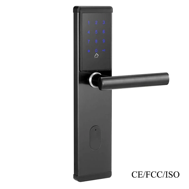 Smart Finger Print Salto Lock Systems