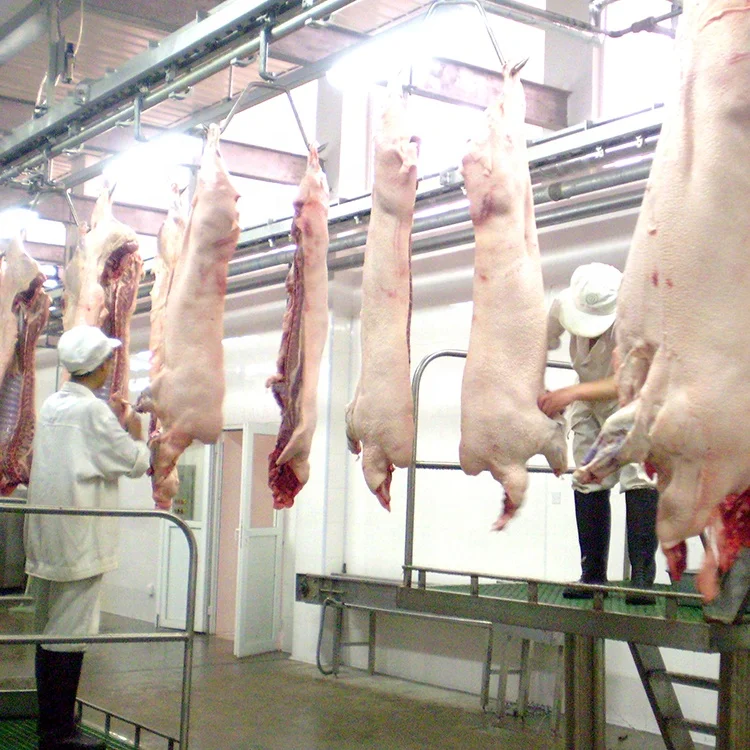 950 pig slaughterhouse equipment slaughtering machine production line