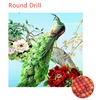 Round Drill colorful