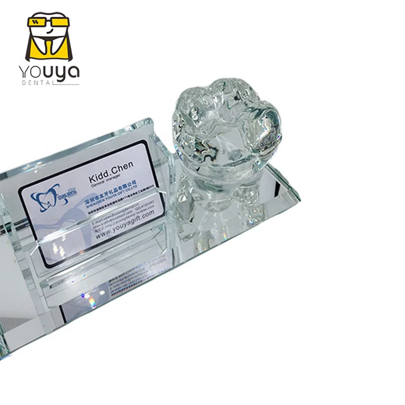 
 Зубной Кристалл Зуб с держателем ручки и визитница  