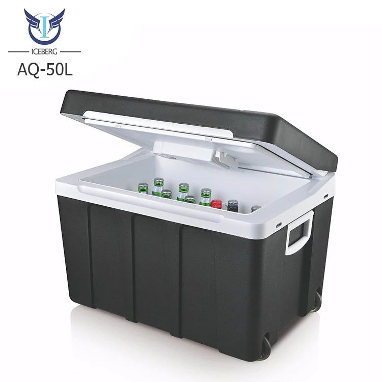 Outdoor Camping Special 12V 240v Portable Camping Electric Cooler Box Refriger Car Cool and Warmer Fridge