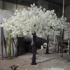 Fiore di ciliegio S5