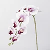 White with purple