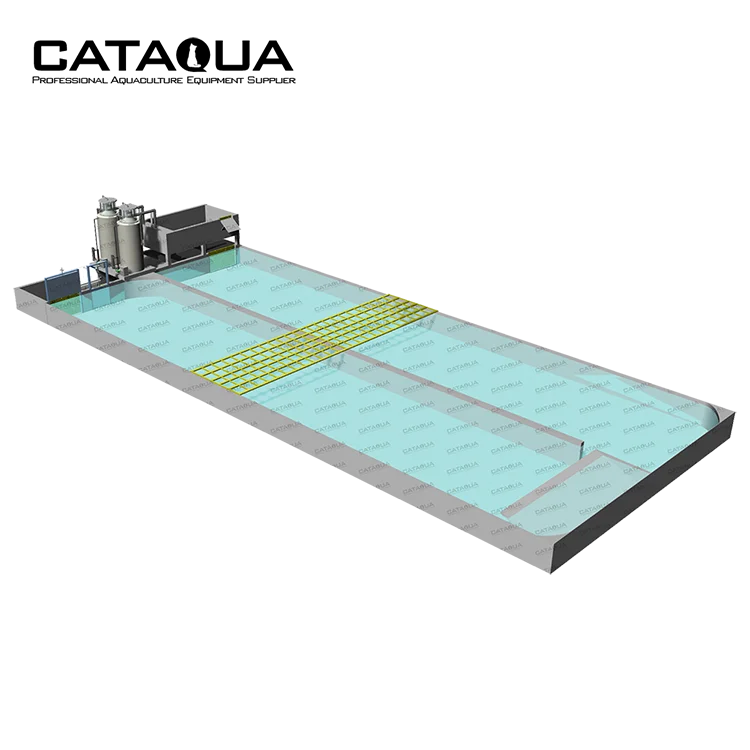 Raceway Tank RAS Recirculating Aquaculture Equipment Arowana Fish Farm Aquarium Systems