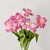 Rose Purple