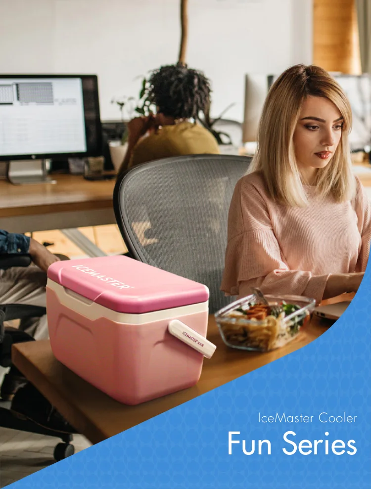 5.5l Cooler Commercial Ice Box Car Refrigerators Camping Cooler Box Refrigerator Buy Cooler