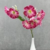 Rose madder