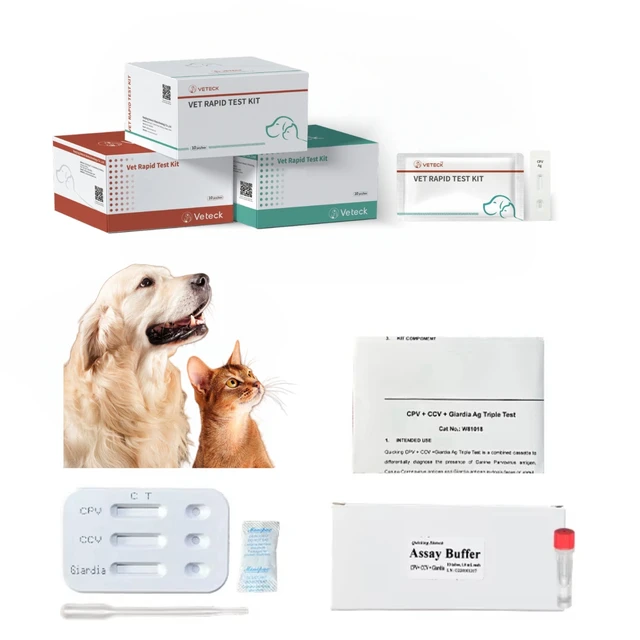 3-in-1 Rapid Test Kit for Dog Parvo CCV Giardia Ag Veterinary Diagnostic Equipment for Fecal Sample Analysis