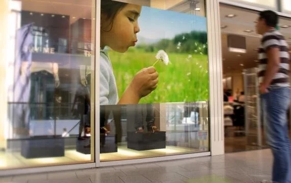 High Contrast Rear Projection Film Transparent Holographic Projector Screen for Window Glass