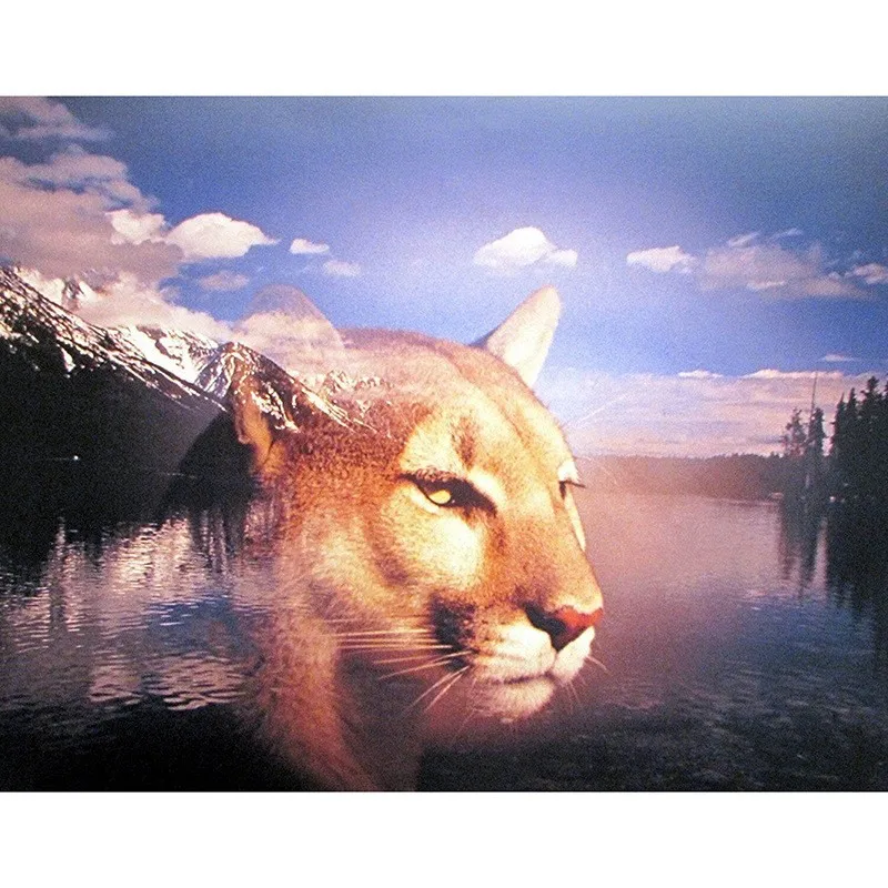 Factory Custom Ab Full Drills Canvas Beads Diamond Painting 5d DIY Animals Diamond Painting Leopard