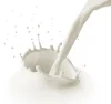 Lait