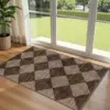 QQ Floral Doormat 5
