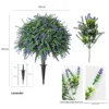 Lavanda de suelo