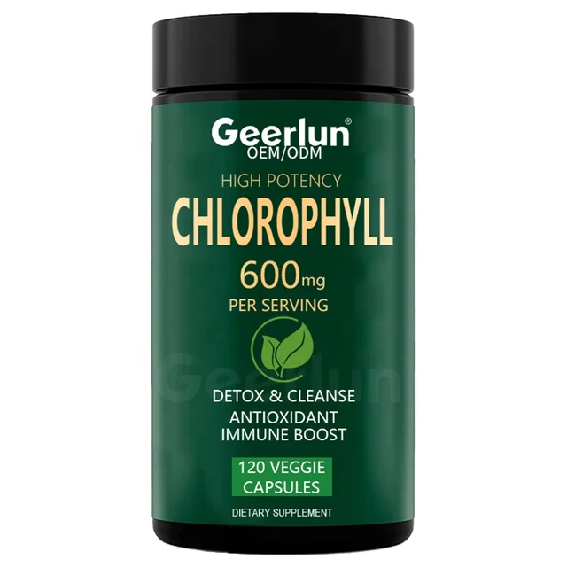 OEM Best Sale Veggie Dietary Supplement Natural Body Detoxifier Immune System Support Chlorophyll Capsule for Women Men