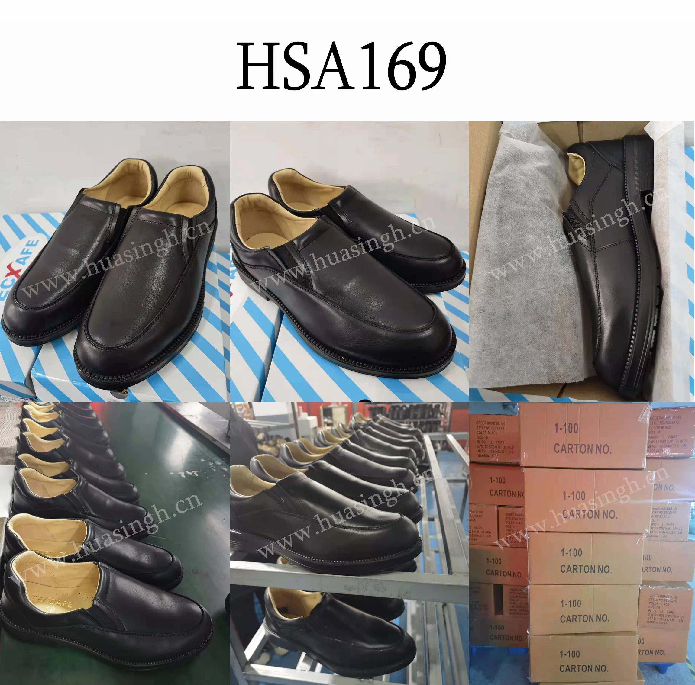 HSA169 