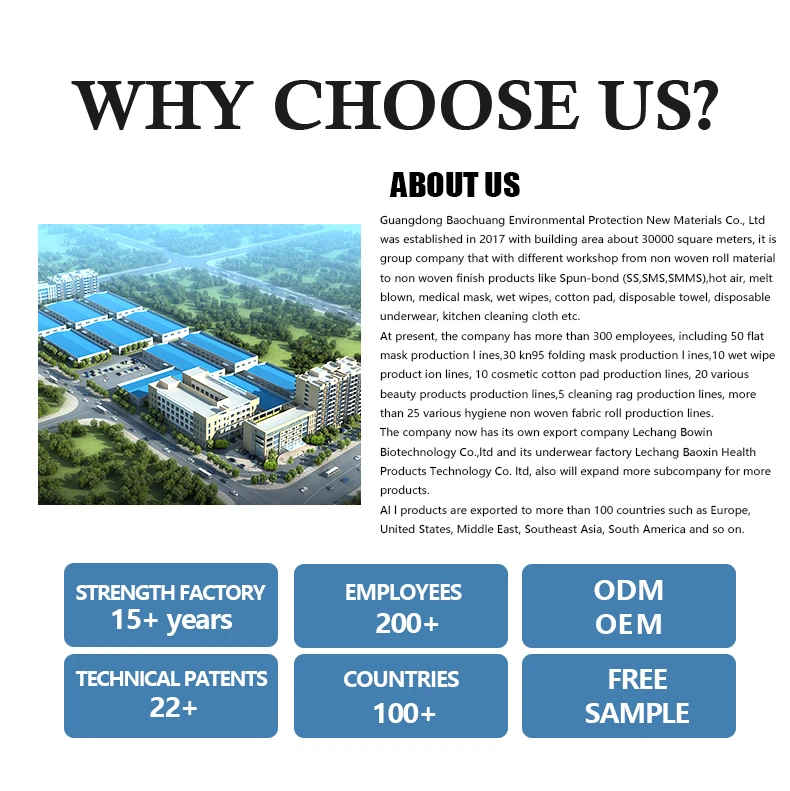 Low Moq Disposable Kitchen Rags For Kitchen Buy Disposable Clean Lazy