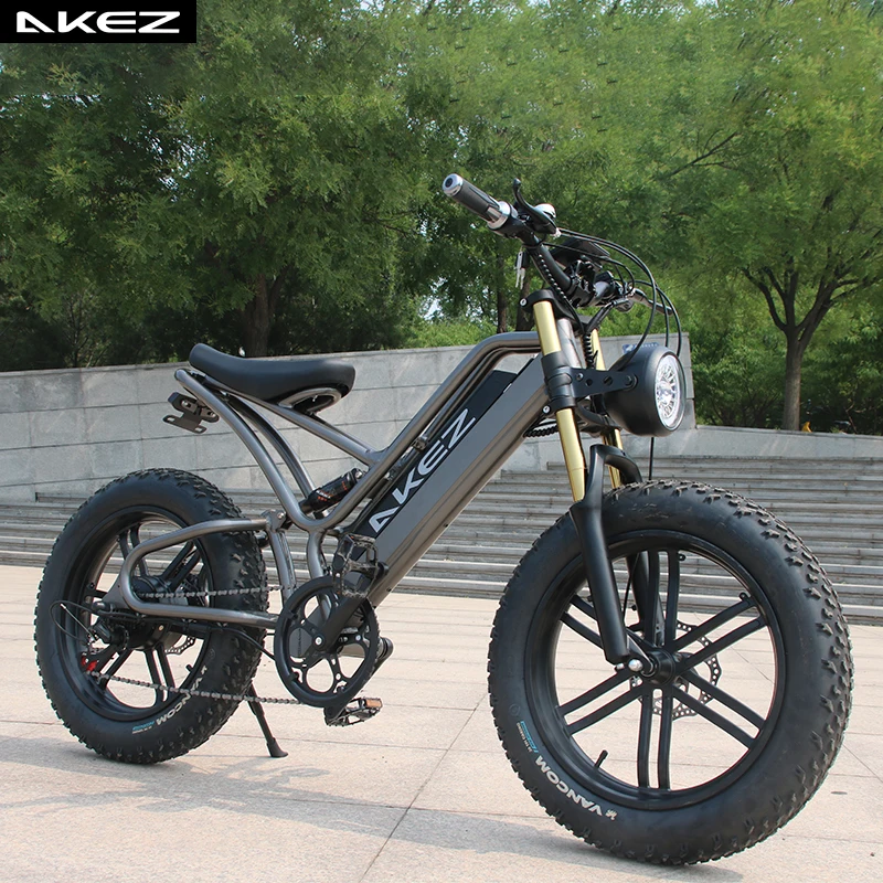 China AKEZ FISH HAWK 20 Inch 48V Comfort Mountain Electric Bike