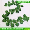 36-leaf evergreen (12 leaves)
