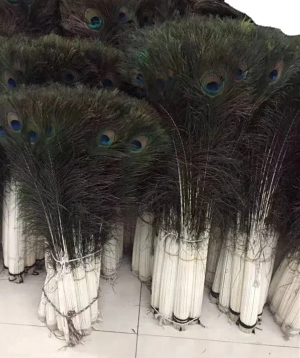 Big Eye Long Peacock Tail Feathers for Sale Cheap