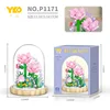 P1171 elegant carnation (with transparent cover + wooden base)