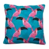 Pink toucan