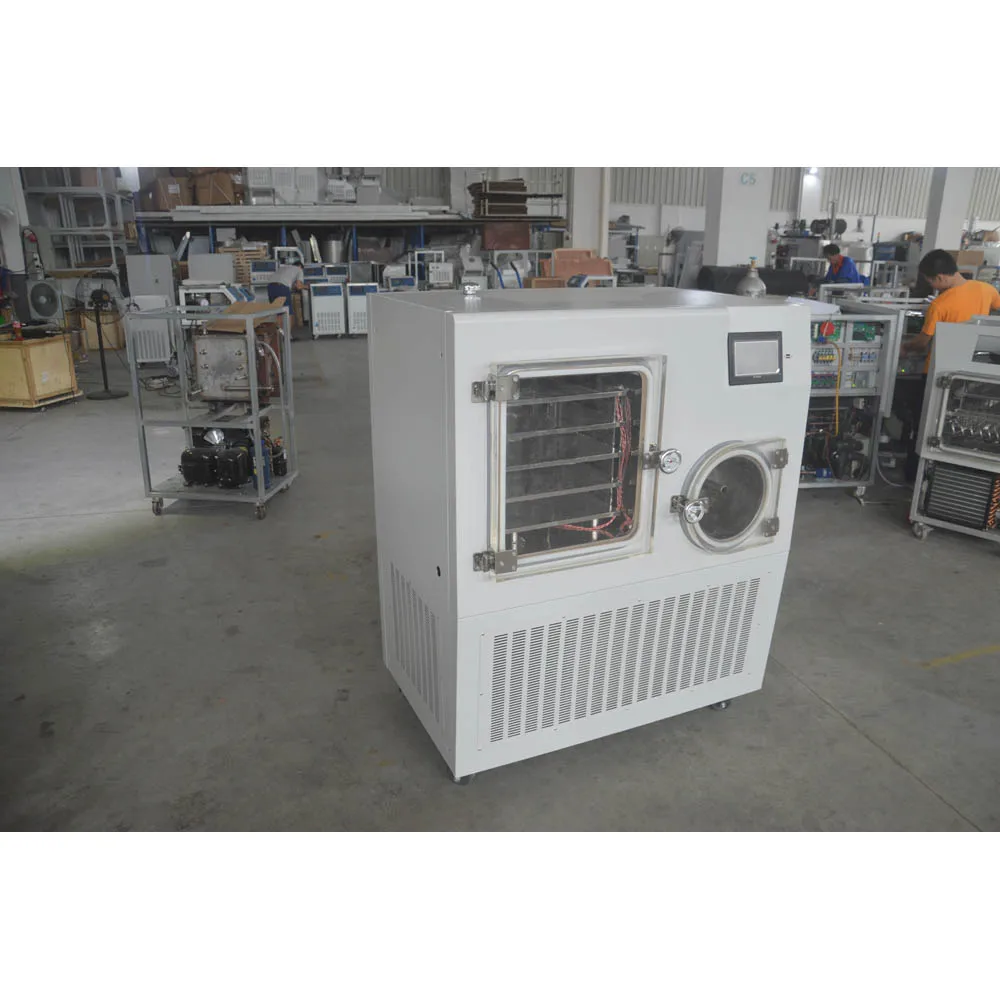 220v 1.5l/min Freeze Dryer Oil-water Separator Air Compressor