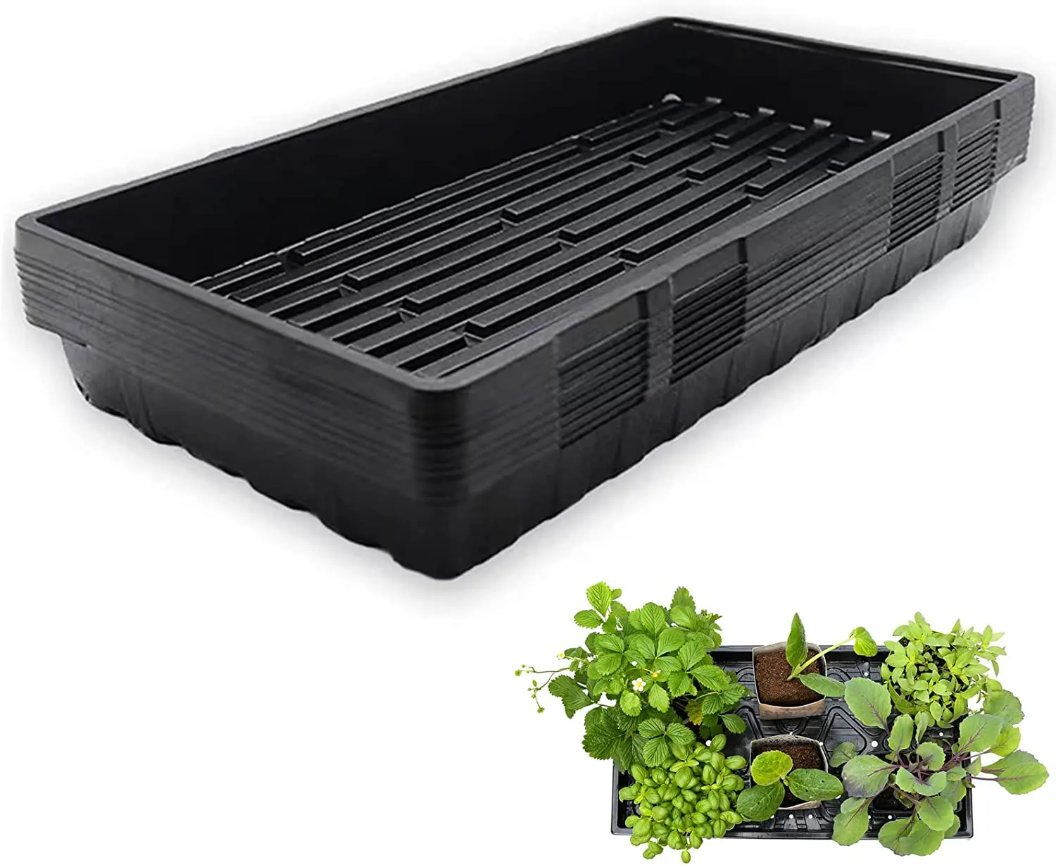 For Microgreens Seedling Tray Growing Tray Hydroponic Channel Plant