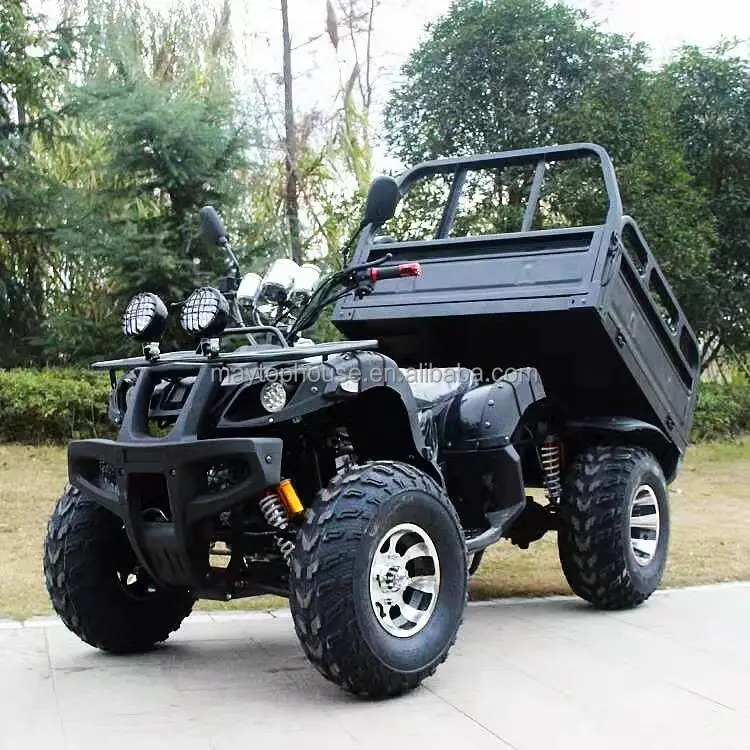 UTV-2 (9).jpg