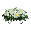 Bud white chrysanthemum