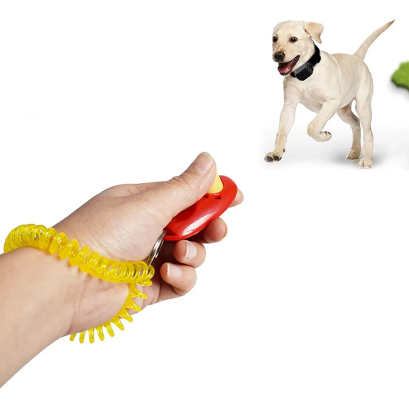 犬のトレーニングクリッカートレーニングクリッカー猫のクリッカー Buy 犬の訓練クリッカー訓練クリッカー猫 犬の訓練クリッカー訓練クリッカー猫 犬 の訓練クリッカー訓練クリッカー猫 Product On Alibaba Com