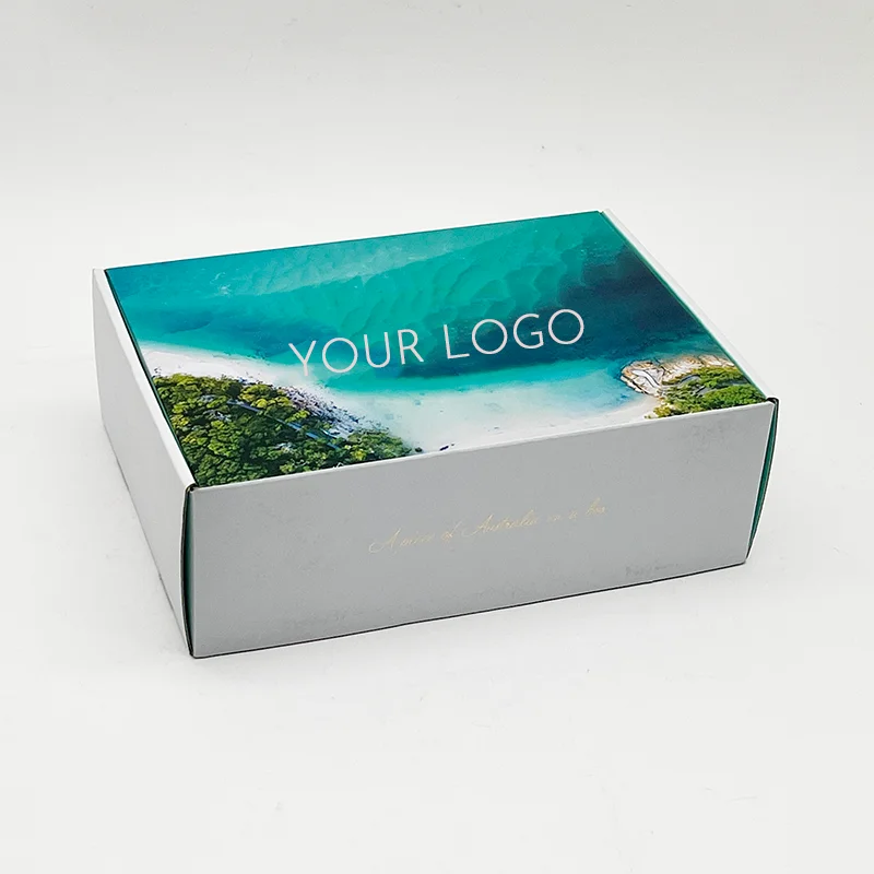 Custom Printing Logo Cosmetic Corrugated Packaging Recycle Mailer Paper Box Airplane Shipping Box supplier