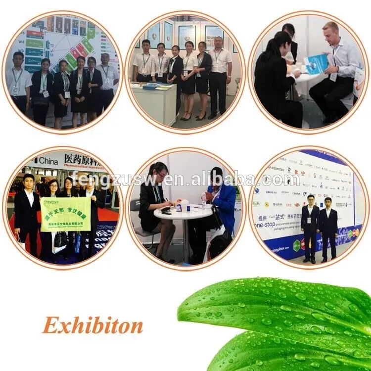 Factory Best Price Bulk HBCD Highly Branched Cyclic Dextrin Powder