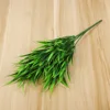 Spring grass