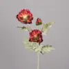 Rose red